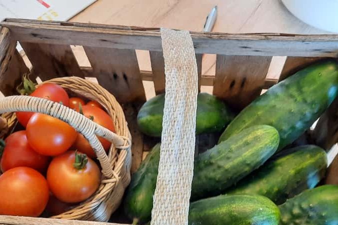 Rattankorb mit Tomaten, daneben frische Gurken.